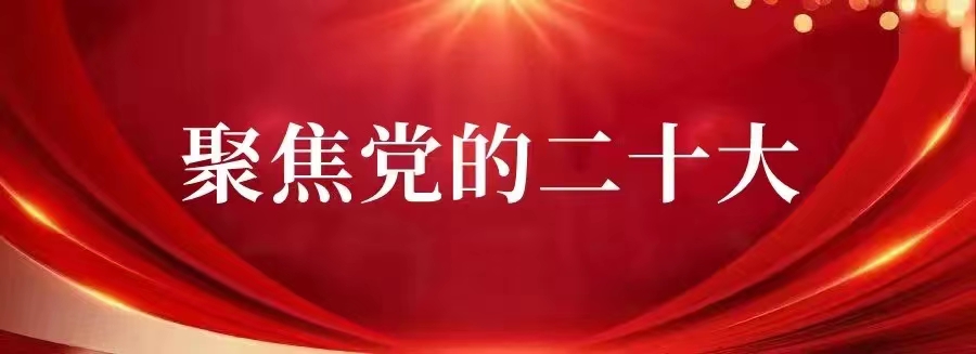 一图速览二十大报告